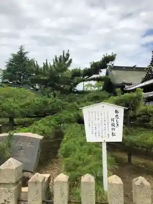 尾上神社(兵庫県)