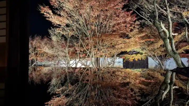 妙覺寺(妙覚寺)(京都府)