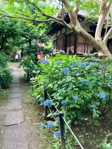 本土寺(千葉県)