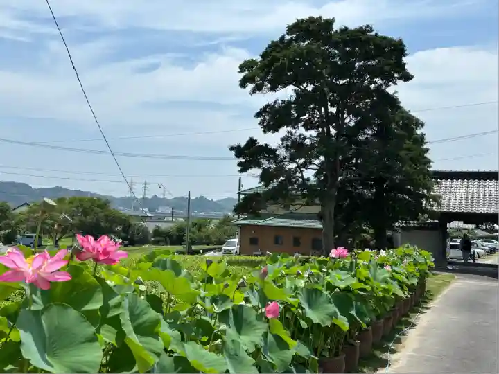 香勝寺(静岡県)