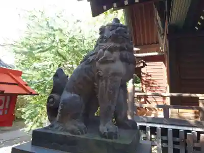 蔵前神社の狛犬