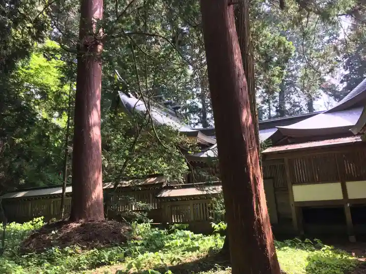 飛驒一宮水無神社の本殿・本堂