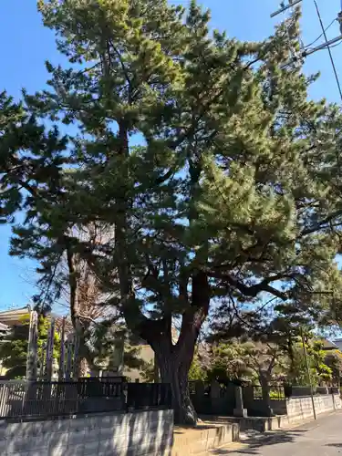 大乘院(千葉県)