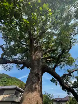志筑別神社(兵庫県)