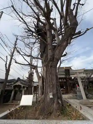 飛木稲荷神社(東京都)