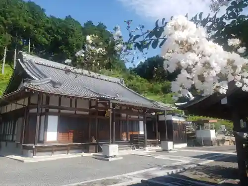 金胎寺の本殿・本堂