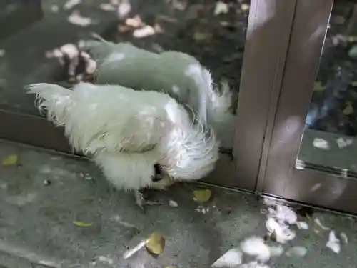 熱田神宮(愛知県)