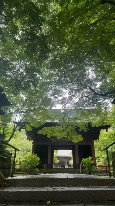 妙本寺(神奈川県)