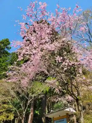 百済寺(滋賀県)
