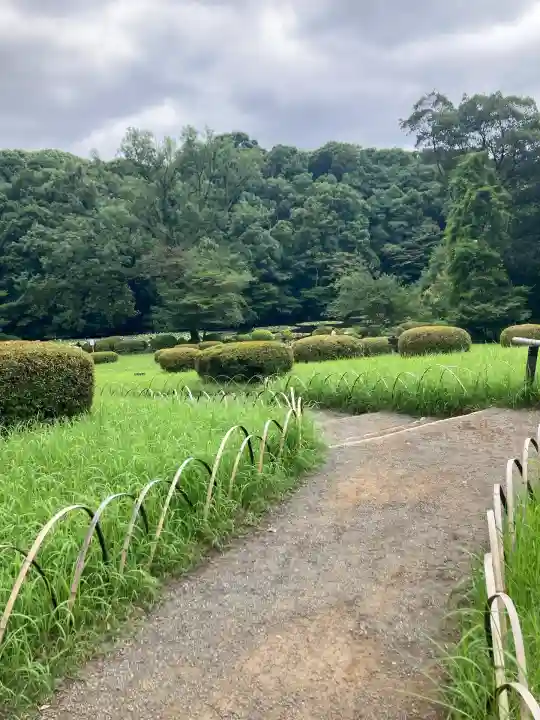 明治神宮(東京都)