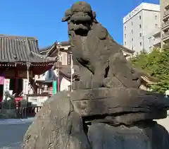 浅草神社の狛犬