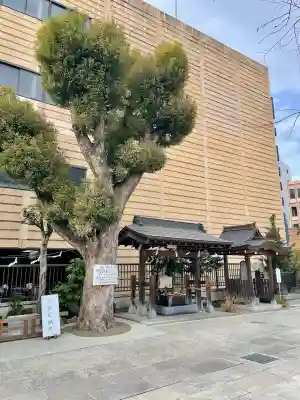 氷川鍬神社の{uncategorized: "未分類", other: "その他", undefined: "問題あり", building: "その他建物", grave: "お墓", sacred_gate: "鳥居", guardian: "狛犬", statue: "像", buddha: "仏像", history: "歴史", nature: "自然", garden: "庭園", animal: "動物", pagoda: "塔", temizu: "手水舎", mountain_gate: "山門・神門", sanctuary: "本殿・本堂", subordinate: "末社・摂社", art: "芸術", scenery: "景色", jizo: "地蔵", ema: "絵馬", goshuin: "御朱印", omikuji: "おみくじ", items: "授与品その他", amulet: "お守り", goshuincho: "御朱印帳", eats: "食事", festival: "お祭り", votive_dance: "神楽", shichigosan: "七五三参", wedding: "結婚式", experience: "体験その他", initially: "初詣", around: "周辺", anti_infection: "感染症対策"}