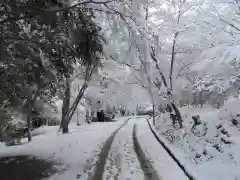 園城寺（三井寺）(滋賀県)