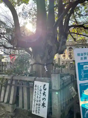 満足稲荷神社の自然