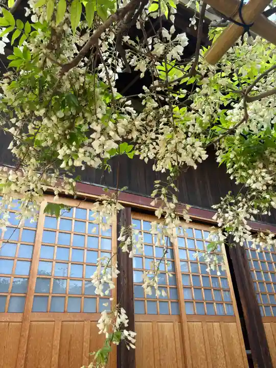 松應寺の{uncategorized: "未分類", other: "その他", undefined: "問題あり", building: "その他建物", grave: "お墓", sacred_gate: "鳥居", guardian: "狛犬", statue: "像", buddha: "仏像", history: "歴史", nature: "自然", garden: "庭園", animal: "動物", pagoda: "塔", temizu: "手水舎", mountain_gate: "山門・神門", sanctuary: "本殿・本堂", subordinate: "末社・摂社", art: "芸術", scenery: "景色", jizo: "地蔵", ema: "絵馬", goshuin: "御朱印", omikuji: "おみくじ", items: "授与品その他", amulet: "お守り", goshuincho: "御朱印帳", eats: "食事", festival: "お祭り", votive_dance: "神楽", shichigosan: "七五三参", wedding: "結婚式", experience: "体験その他", initially: "初詣", around: "周辺", anti_infection: "感染症対策"}
