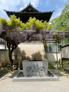 秩父札所十三番 慈眼寺の手水舎(2026年04月20日(月) 15時58分18秒投稿)
