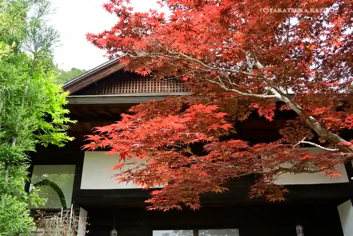 大悲願寺の自然