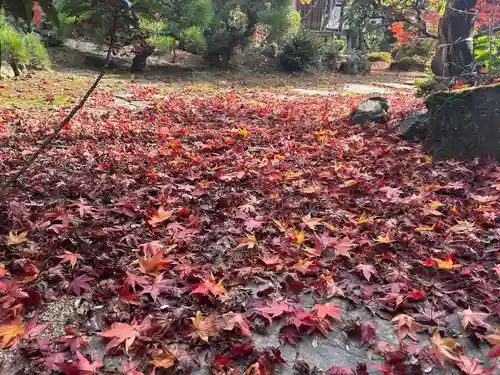木舟山　順教寺(広島県)