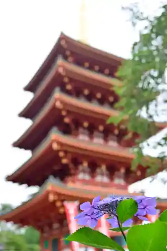 高幡不動尊　金剛寺のその他建物