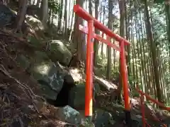 赤岩尾神社の自然