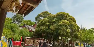 市原稲荷神社のその他建物