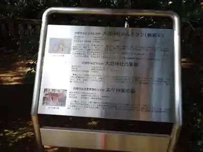 大胡神社(群馬県)