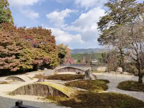 実相院門跡の庭園