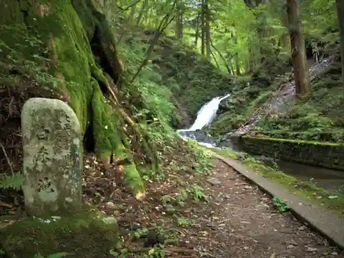 瀧尾神社（日光二荒山神社別宮）の自然