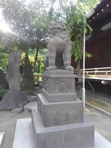 牛嶋神社の狛犬