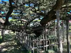 永安寺(愛知県)