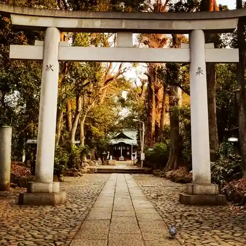 代々木八幡宮の鳥居