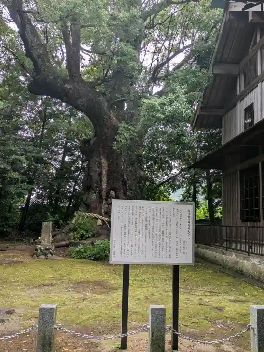 川津来宮神社(静岡県)