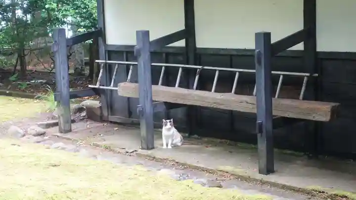 大乗寺(石川県)