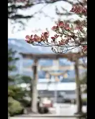 越中一宮 髙瀬神社の鳥居