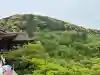 清水寺の{uncategorized: "未分類", other: "その他", undefined: "問題あり", building: "その他建物", grave: "お墓", sacred_gate: "鳥居", guardian: "狛犬", statue: "像", buddha: "仏像", history: "歴史", nature: "自然", garden: "庭園", animal: "動物", pagoda: "塔", temizu: "手水舎", mountain_gate: "山門・神門", sanctuary: "本殿・本堂", subordinate: "末社・摂社", art: "芸術", scenery: "景色", jizo: "地蔵", ema: "絵馬", goshuin: "御朱印", omikuji: "おみくじ", items: "授与品その他", amulet: "お守り", goshuincho: "御朱印帳", eats: "食事", festival: "お祭り", votive_dance: "神楽", shichigosan: "七五三参", wedding: "結婚式", experience: "体験その他", initially: "初詣", around: "周辺", anti_infection: "感染症対策"}
