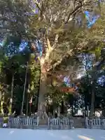 鴨都波神社(奈良県)