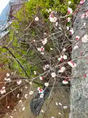 浄教寺(和歌山県)