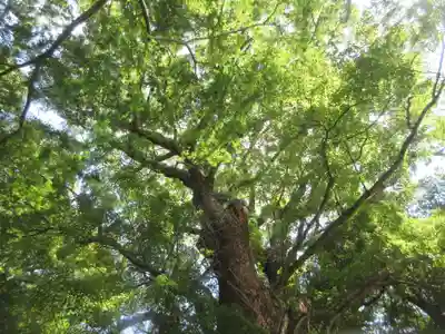 五所神社(神奈川県)