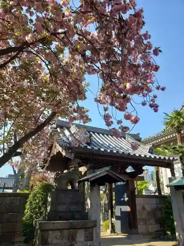 荘厳寺の山門