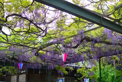 國領神社(東京都)
