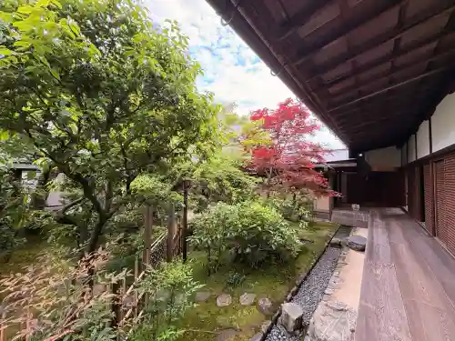 興臨院の{uncategorized: "未分類", other: "その他", undefined: "問題あり", building: "その他建物", grave: "お墓", sacred_gate: "鳥居", guardian: "狛犬", statue: "像", buddha: "仏像", history: "歴史", nature: "自然", garden: "庭園", animal: "動物", pagoda: "塔", temizu: "手水舎", mountain_gate: "山門・神門", sanctuary: "本殿・本堂", subordinate: "末社・摂社", art: "芸術", scenery: "景色", jizo: "地蔵", ema: "絵馬", goshuin: "御朱印", omikuji: "おみくじ", items: "授与品その他", amulet: "お守り", goshuincho: "御朱印帳", eats: "食事", festival: "お祭り", votive_dance: "神楽", shichigosan: "七五三参", wedding: "結婚式", experience: "体験その他", initially: "初詣", around: "周辺", anti_infection: "感染症対策"}