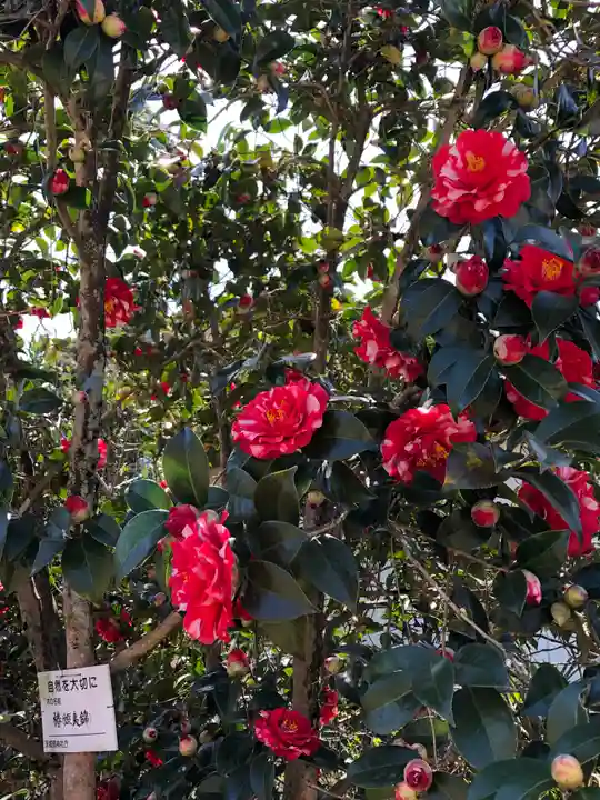 境香取神社の自然