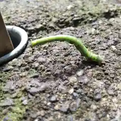 七重浜海津見神社(北海道)