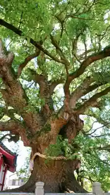 善通寺(香川県)