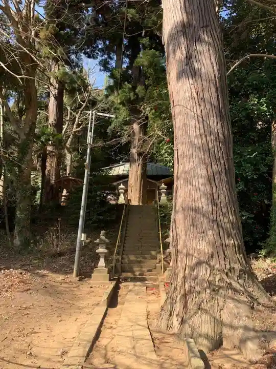 大木戸八幡神社(千葉県)