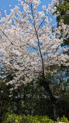 法金剛院(京都府)