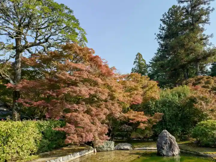 西芳寺(京都府)