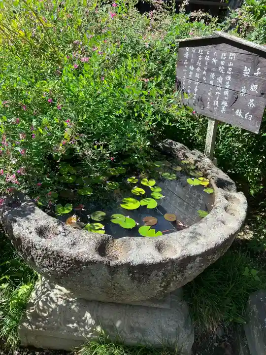 極楽寺(霊鷲山感應院極楽律寺)のその他建物