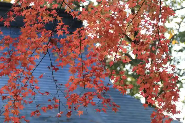 國祖神社の景色