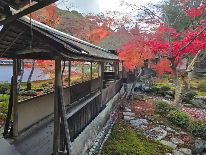 金剛寺(大阪府)